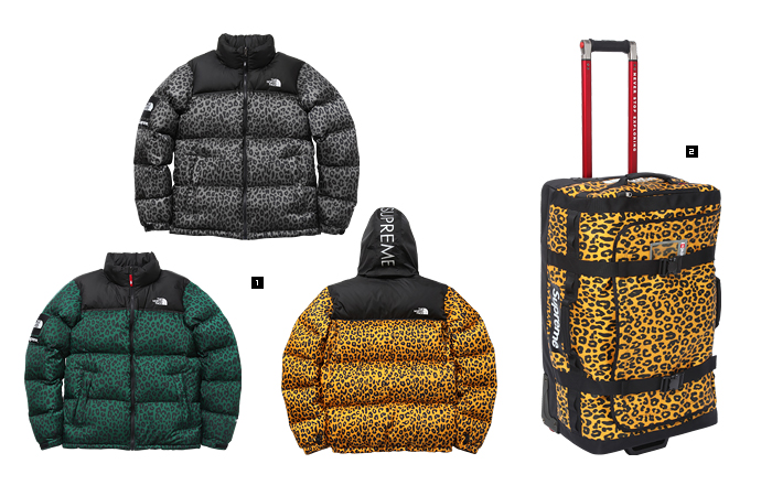 Supreme × The North Face&reg;