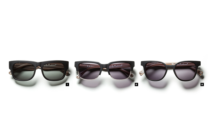 RAEN optics