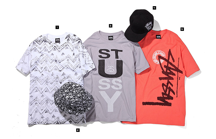 STUSSY ROOTZ Summer Capsule Collection