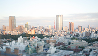 TOKYO CLIMBING