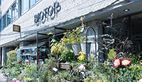 BIOTOP OSAKA