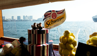 Schweppes British Lemon Tonic