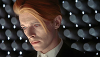 The Man Who Fell to Earth